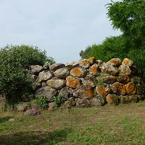 Alloggio per agriturismo Nuragh'elighe 